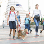 Mutter begleitet 5 Schulkinder und Hund über Zebrastreifen